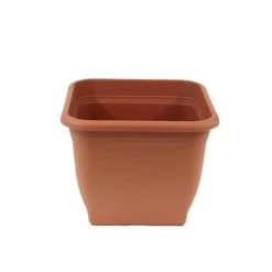 Top 10 😉 Pflanzkübel Pia Terrakotta 19 X 19 Cm 🎁