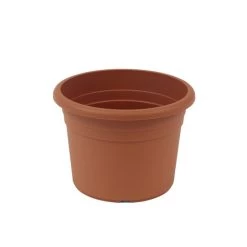 Beste Bewertungen von 🥰 Pflanzkübel Fiona Terrakotta Ø Ca.15cm ❤️